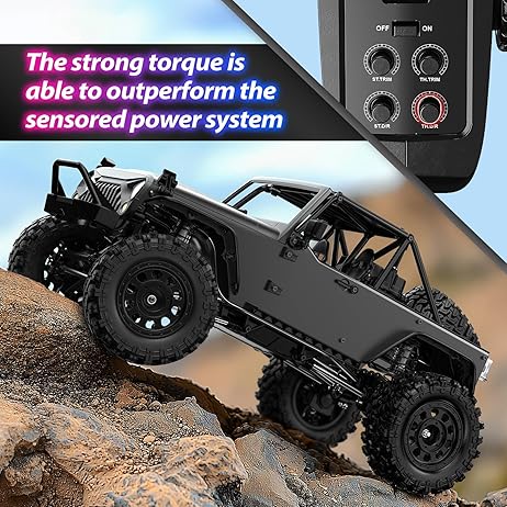 Brushless 4WD performance